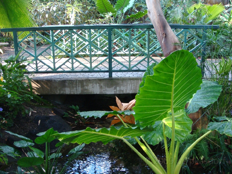 Western Michigan [2009] 185.JPG - Scenes from Frederik Meijer Gardens & Sculpture Park.